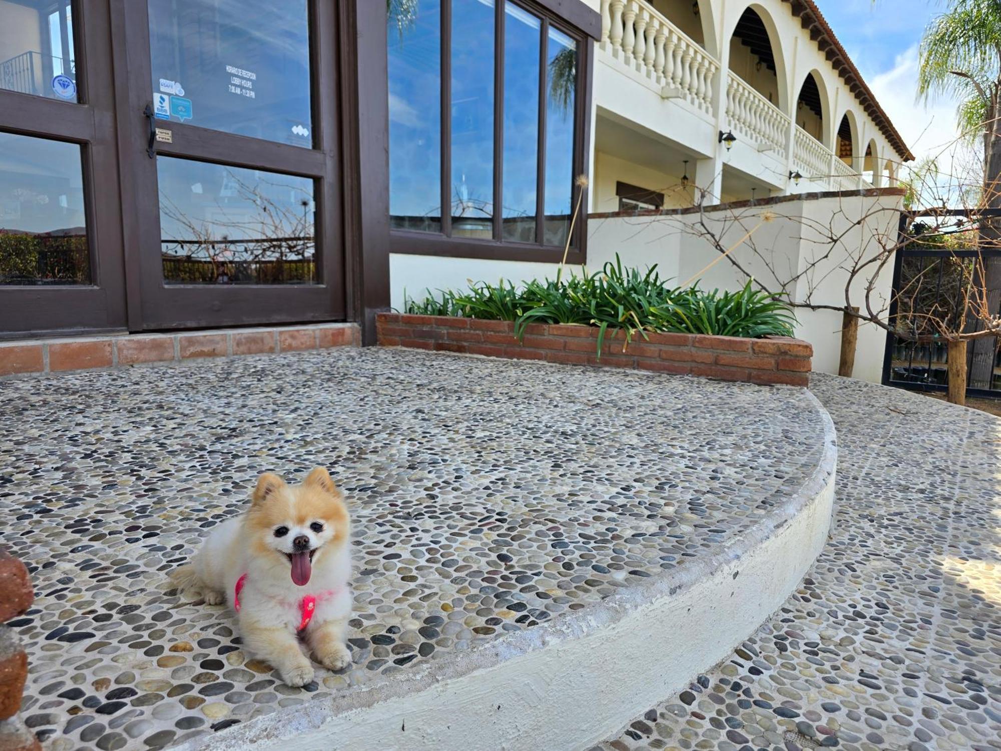 Hacienda Guadalupe Hotel Exterior photo